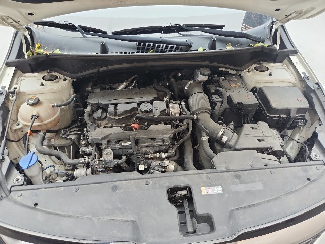 lotterental_183107981_UAvx3_9.jpg