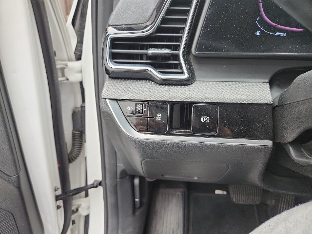 lotterental_211648588_PL52w_3.jpg