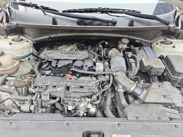 lotterental_211648908_P2Yv3_10.jpg