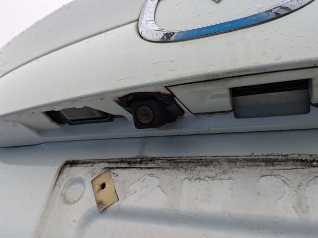 25.jpg