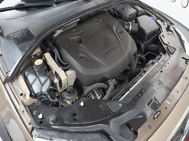 fa2070df83962fd79f5d2f651f06775a.jpeg