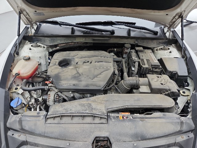 lotterental_150713560_65sOd_7.jpg