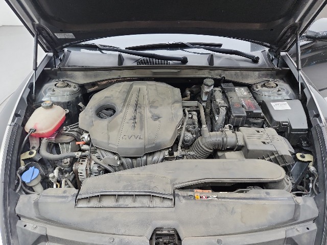 lotterental_223055642_r8nAR_8.jpg
