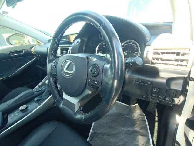 27077919_carP_l_13.jpg