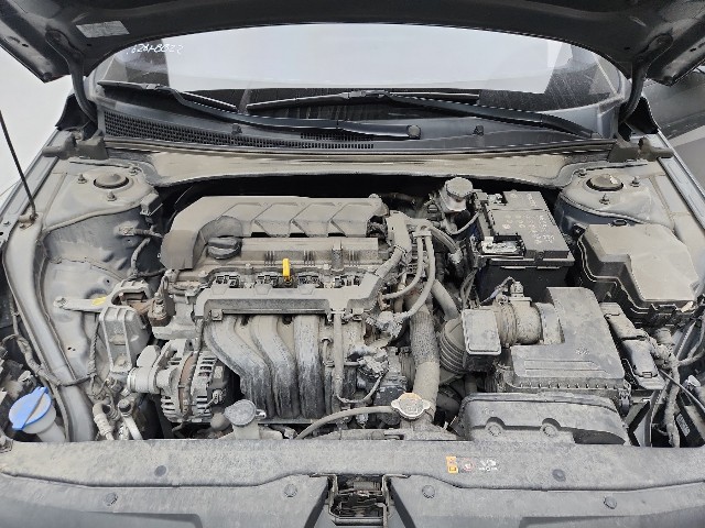 lotterental_144432226_cDpMM_8.jpg
