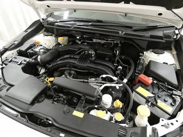 d16fc4d235629264907488e6b557ed0b.jpg