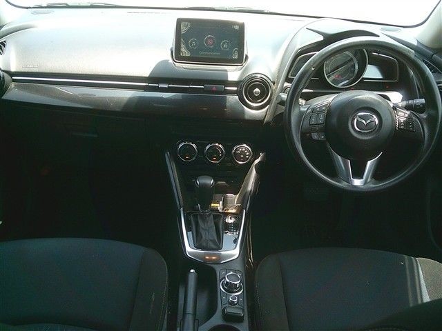 06.jpg