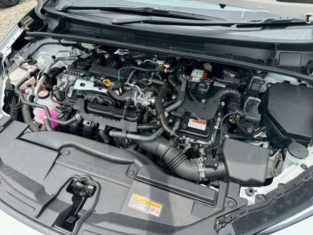 e7feb6e74a0f4e50c18239ada5782c05.jpg