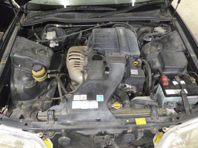 1b2bdb7ff9e52f31cae590a9df6d9018.jpg
