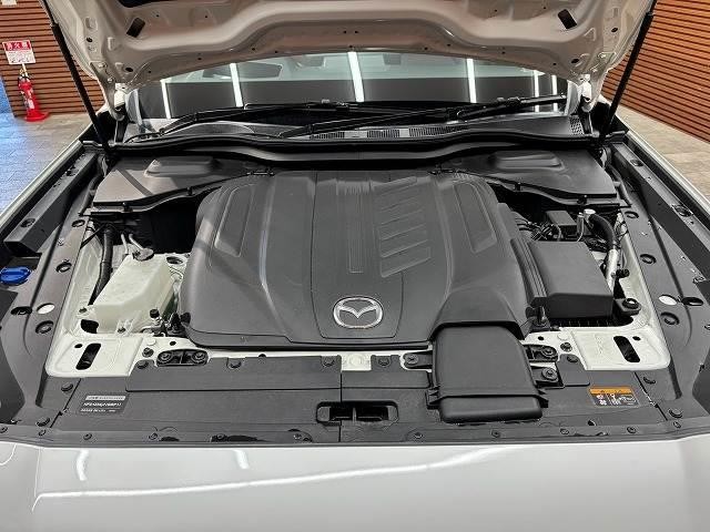 0208369A20261018D00219.jpg