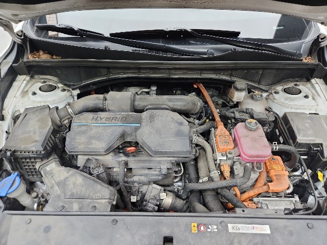 lotterental_112404237_LMNok_1.jpg