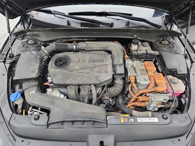 lotterental_140701666_XJFY4_10.jpg