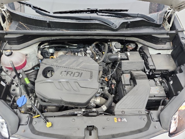 lotterental_205104325_PRfQz_7.jpg