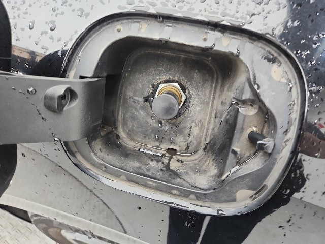 lotterental_204450232_MrL83_7.jpg