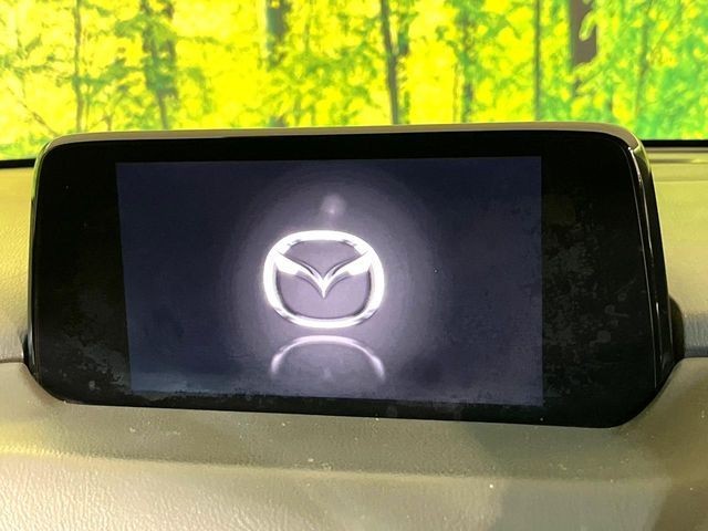 c66b4e340a22abc35f9a506df372114e.jpg