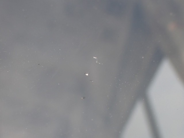 2292e7c9562f6d54338953ff8079d1e0.jpeg
