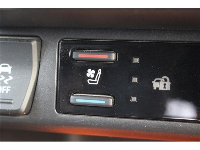 95ada97809b752de4429bd50683435ca.jpg