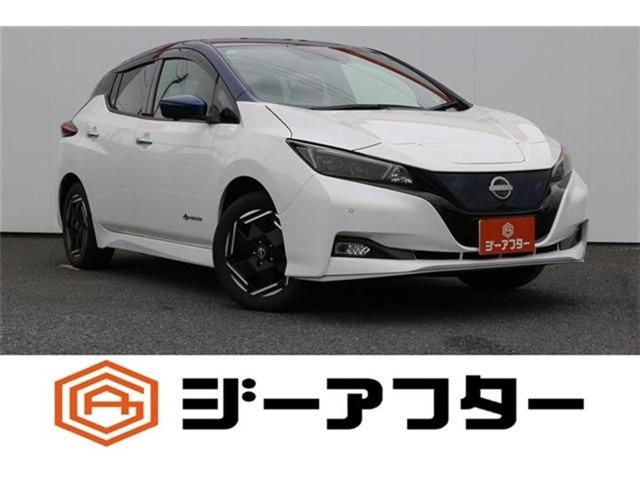 2022 Nissan Leaf Standard for sale in Kenya
