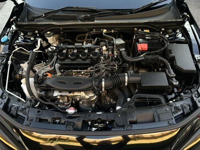 6ed87f501954dff5a2dda7280e448729.jpg