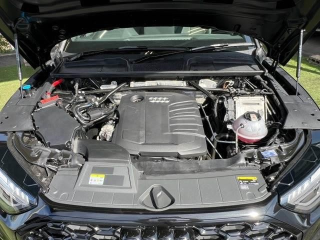 0127516A20261017D00313.jpg