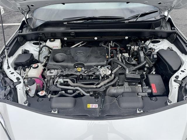 b5016f168f5cf6cc91e35a5f06bca775.jpg