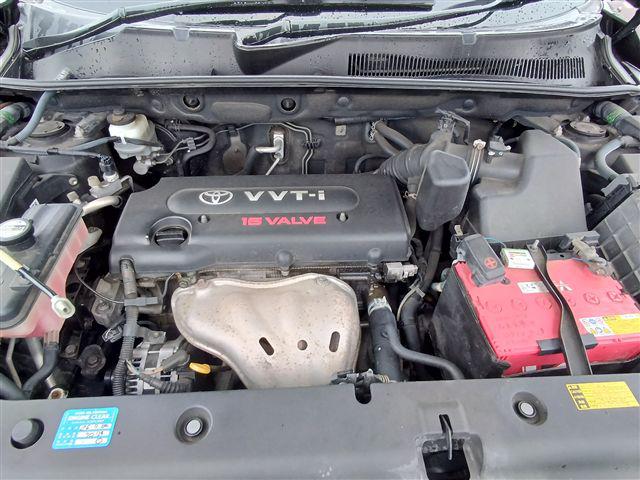 08.jpg