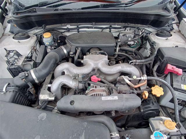 08.jpg