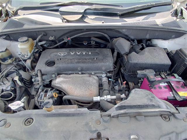 08.jpg