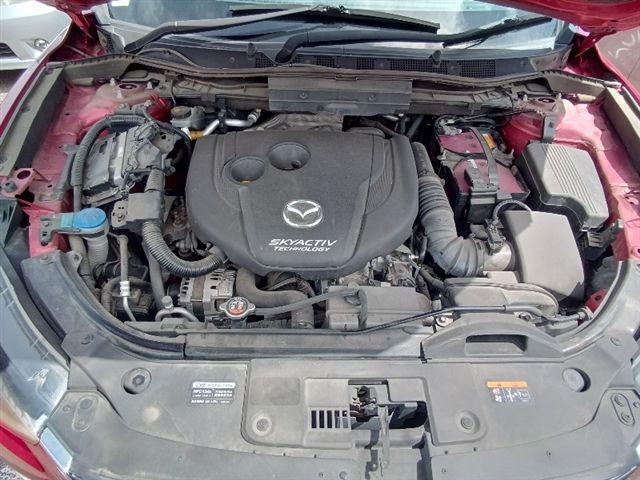 08.jpg