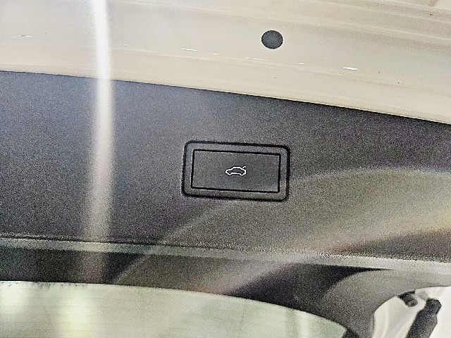 b3f129374506179b15a3e37854c83166.jpeg