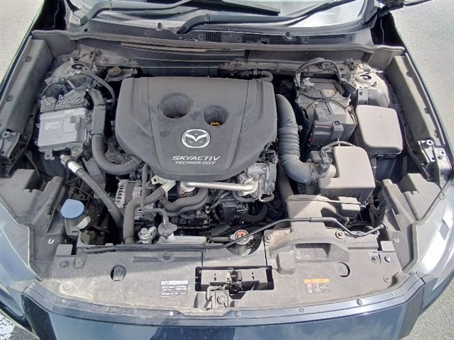 08.jpg