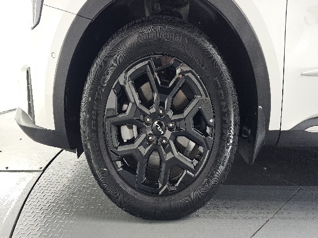 ab263dcfe035fe12e7b813ec077dd5ac.jpeg