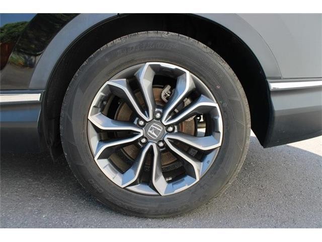 31fca387bfb2bcb88d8a87cf43737722.jpg