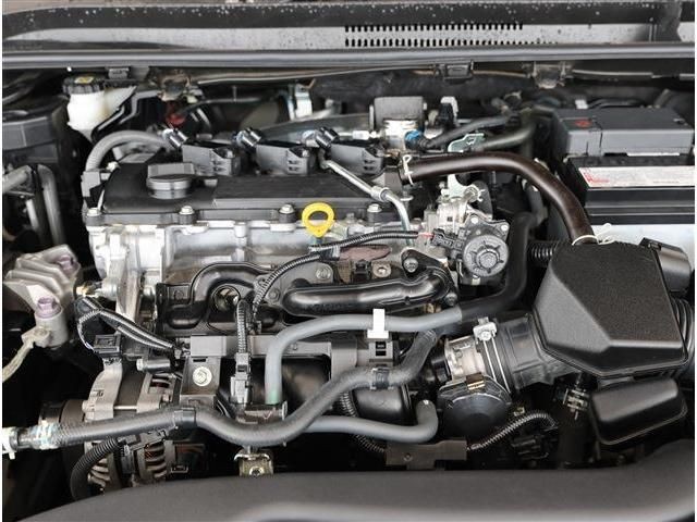 c8f8bac01168ffd38ac0000337e20449.jpg