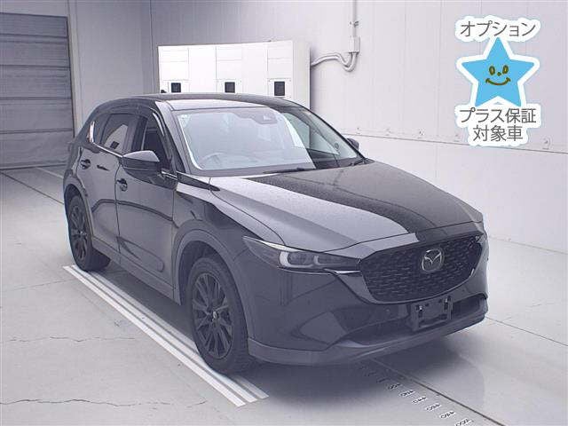 cefc6968e1f0012250ccb1a8e418946e.jpg