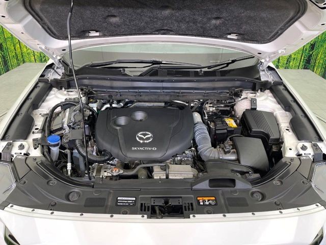 c6563a2d00c42fbe0f3ccaa35607aa36.jpg