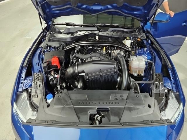 f6a15717e06879554b045d320d549ff0.jpeg