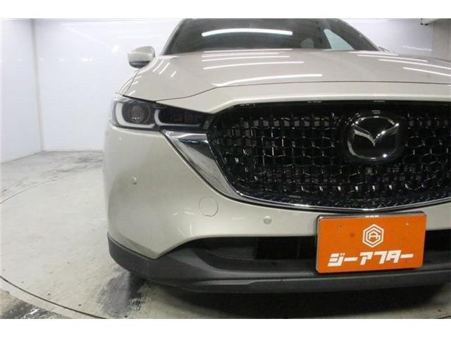 79f670cc27c1bd8a3ae4a86e91221bac.jpg