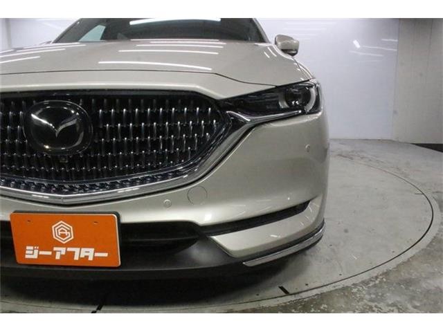 25261d74c53e415a03b3ae4fa01b9124.jpg