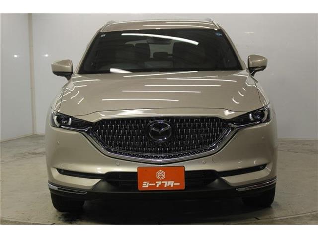 b3f21939aae1f8415bb2cea65de083b0.jpg
