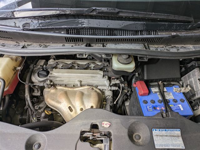 08.jpg