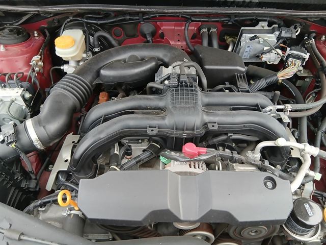 08.jpg