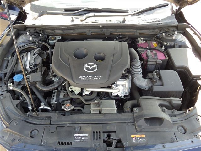 08.jpg
