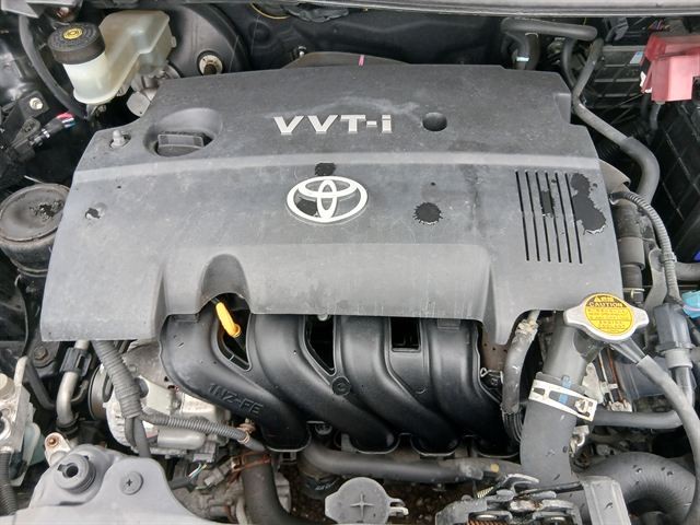 08.jpg