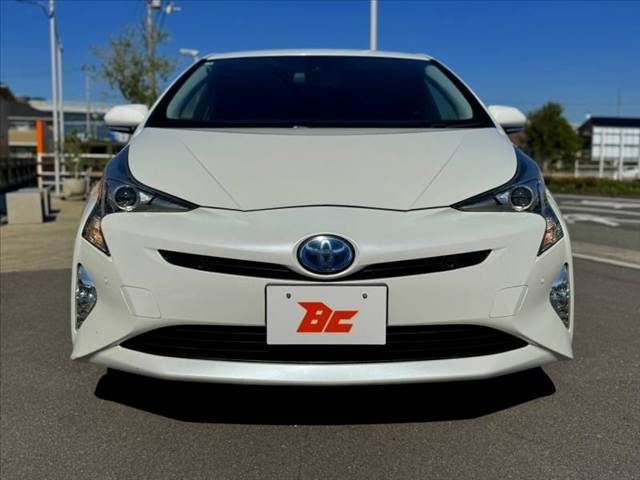 bc5b62e919c88afb3dcdcd52b6bd2429.jpg