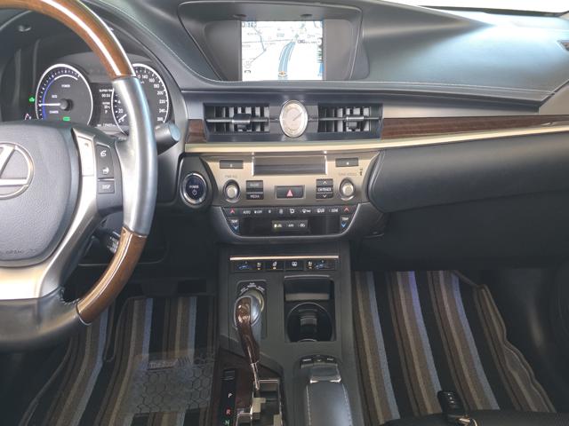 aceacd0972bd543a2771b6d6889ac660.jpeg