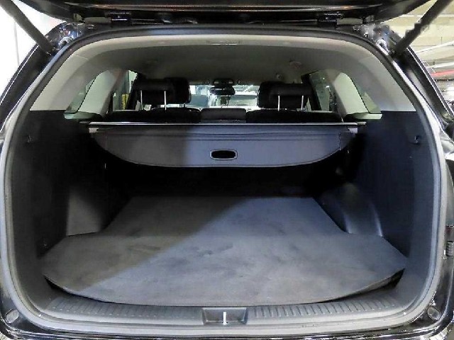 05eb6807a5498a5a6e91ba23d83ff6af.jpeg