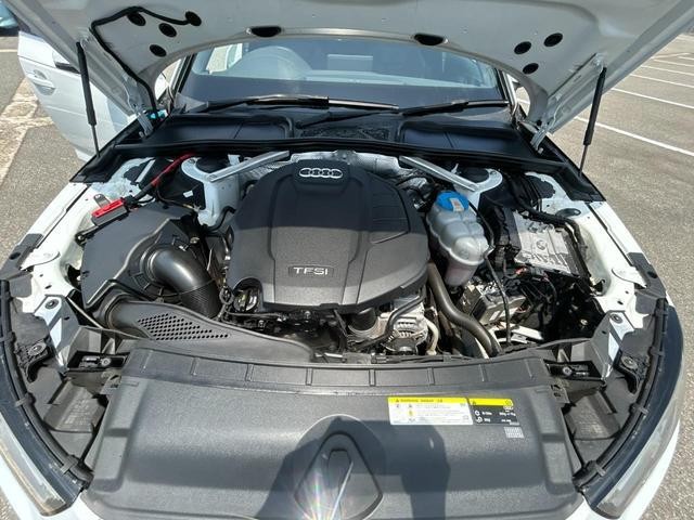 6ba85f853e76f678744199f3a16f7405.jpg