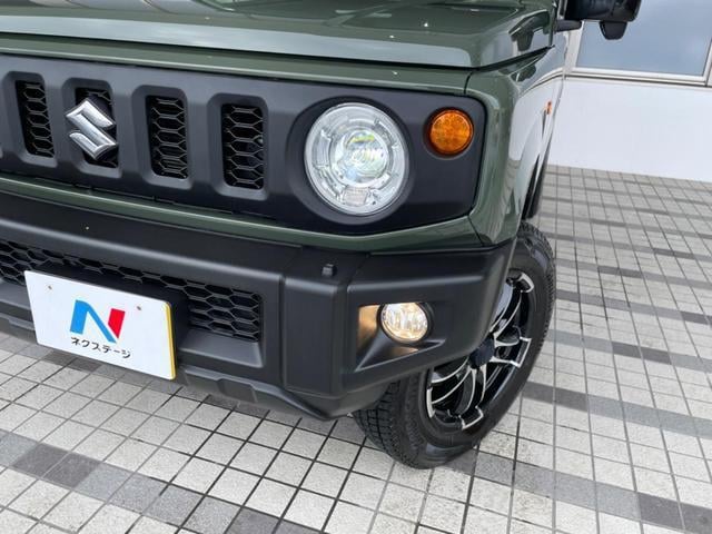 16098807_carP_l_8.jpg