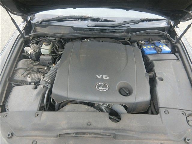 08.jpg